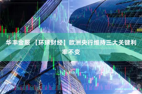 华丰金服 【环球财经】欧洲央行维持三大关键利率不变