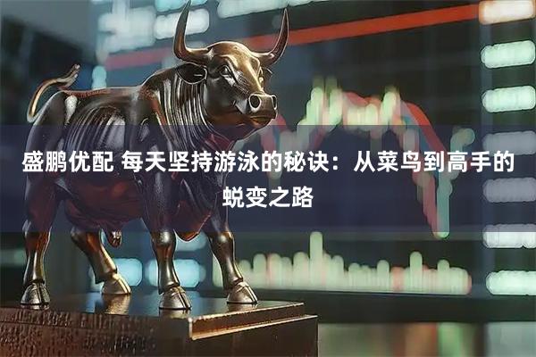 盛鹏优配 每天坚持游泳的秘诀：从菜鸟到高手的蜕变之路