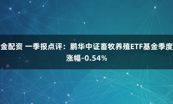金配资 一季报点评：鹏华中证畜牧养殖ETF基金季度涨幅-0.54%