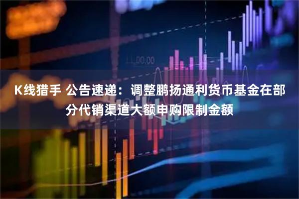 K线猎手 公告速递：调整鹏扬通利货币基金在部分代销渠道大额申购限制金额