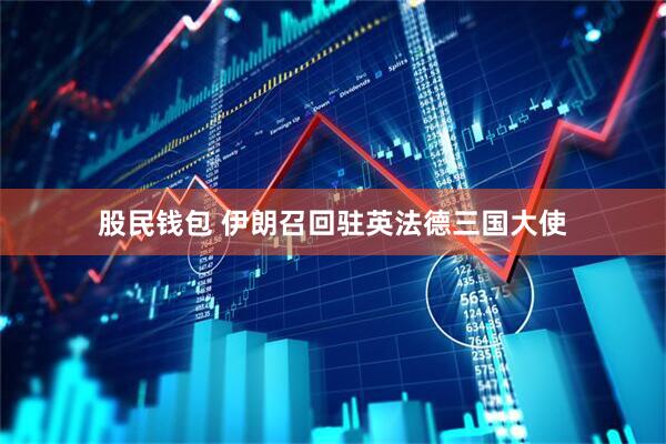 股民钱包 伊朗召回驻英法德三国大使
