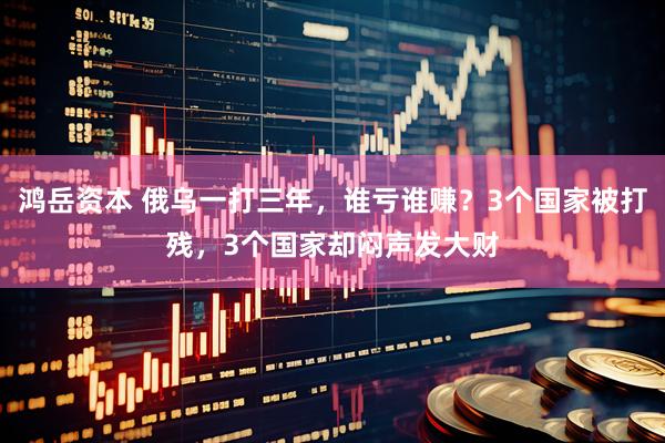 鸿岳资本 俄乌一打三年，谁亏谁赚？3个国家被打残，3个国家却闷声发大财