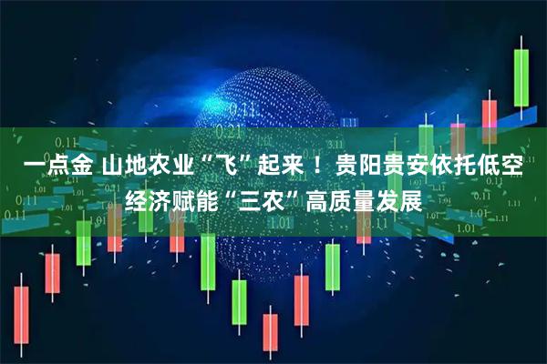 一点金 山地农业“飞”起来 ！贵阳贵安依托低空经济赋能“三农”高质量发展