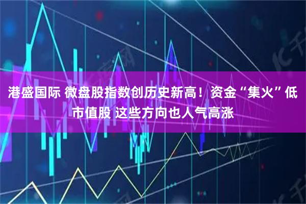 港盛国际 微盘股指数创历史新高！资金“集火”低市值股 这些方向也人气高涨