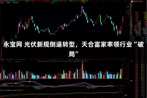 永宝网 光伏新规倒逼转型，天合富家率领行业“破局”