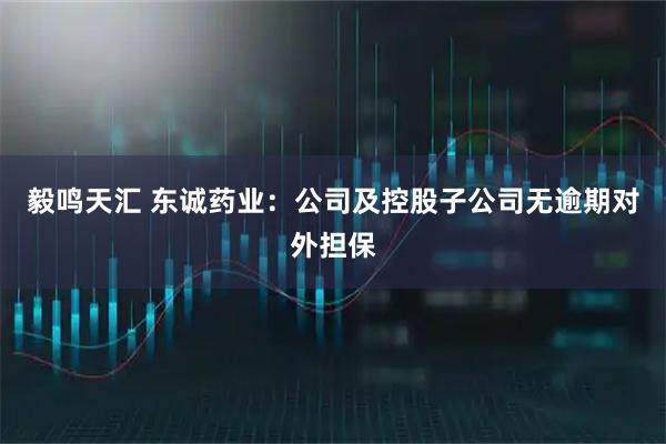 毅鸣天汇 东诚药业：公司及控股子公司无逾期对外担保